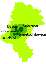 Usługi rehabilitacyjno-pielęgniarskie Chorzów, Świętochłowice, Ruda Śląska, Bytom, Katowice